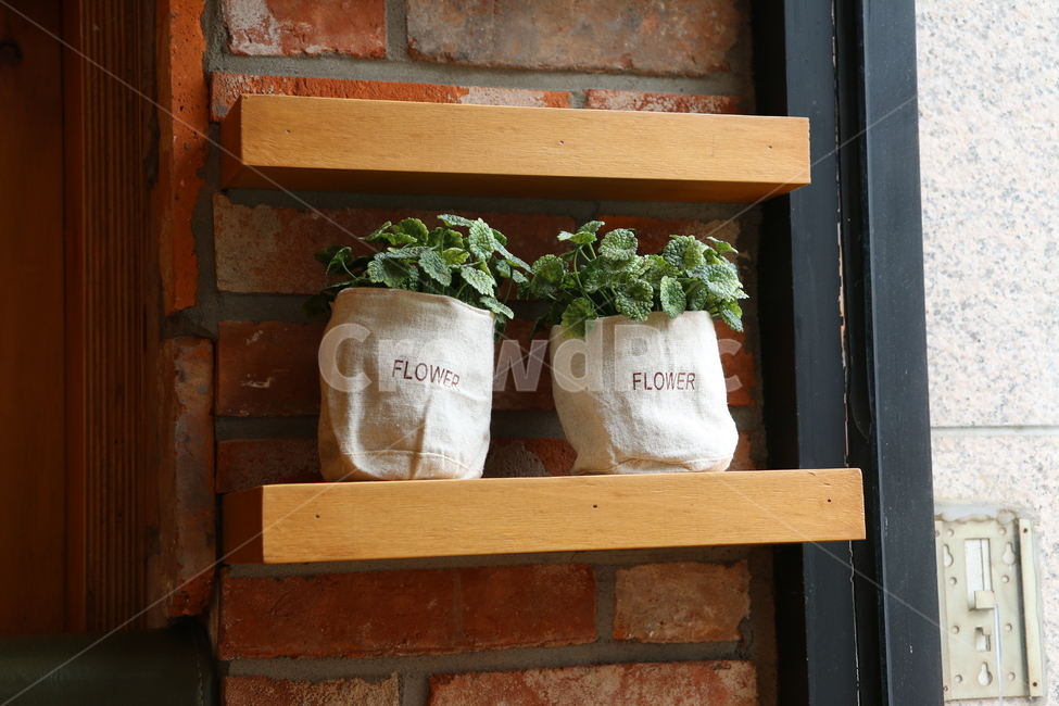 소품,화분,조화,감성사진,선반,식물,자연,plants,nature,실내용화초,화분,화초,house plant,인테리어,실내디자인,interior design