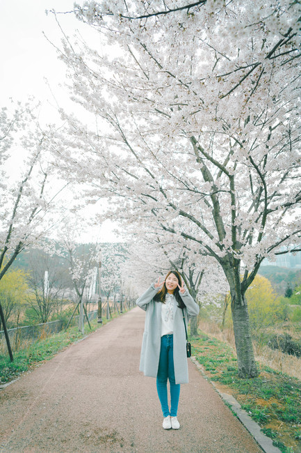 여자,벚꽃,봄,flower,cheeryblossom,blossom,portrait,봄,계절,spring,season,사람,인물,인간,human,person,여성,여자,woman,female,lady