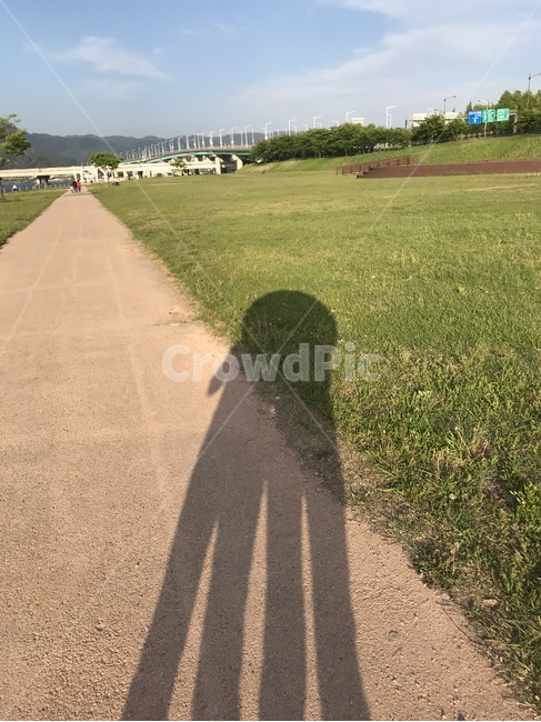 그림자,산책,공원,함께,더불어