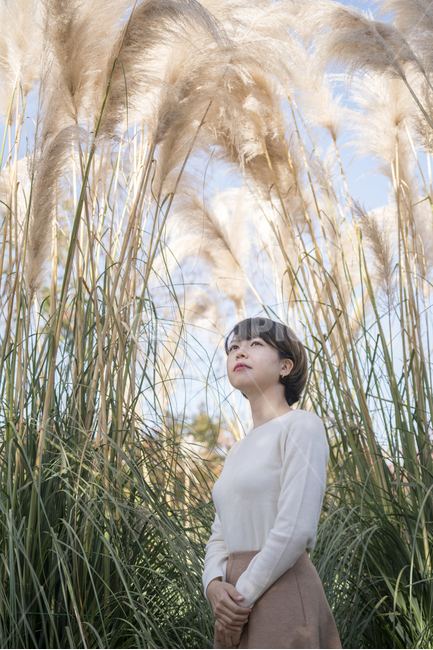 청산수목원,가을,팜파스,팜파스축제,pampas,대형팜파스,가을,계절,fall,autumn,season,사람,인물,인간,human,person,여성,여자,woman,female,lady,grass,잔디,plant,식물,lawn,reed,갈대