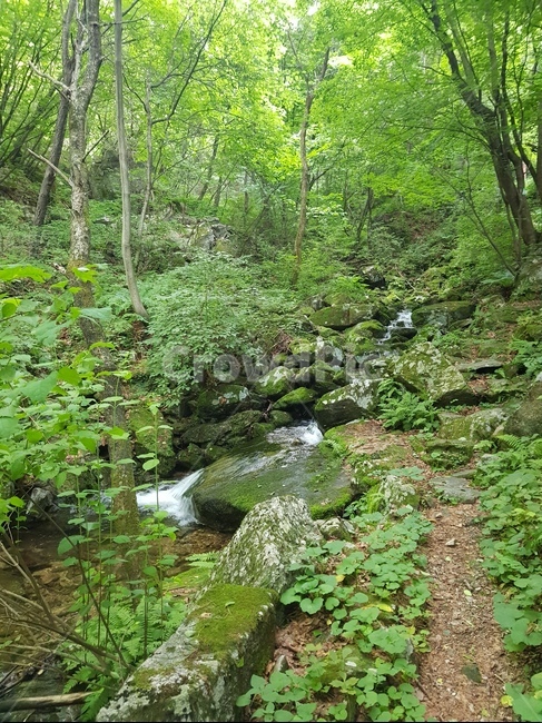 산,치악산,등산,자연,계곡