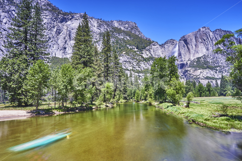 yosemite,요세미티,국립공원,나무,산,풍경,하늘,공원,전망,파노라마,힐링,휴식,자연,풍경,nature,landscape,해외,외국,세계,foreign,oversea,world,세계자연풍경,해외자연풍경,외국자연풍경,world nature landscape,tree,plant,식물,abies,아비,fir,전나무
