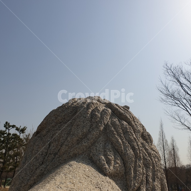 sky,piece,들,field,lion,guardian