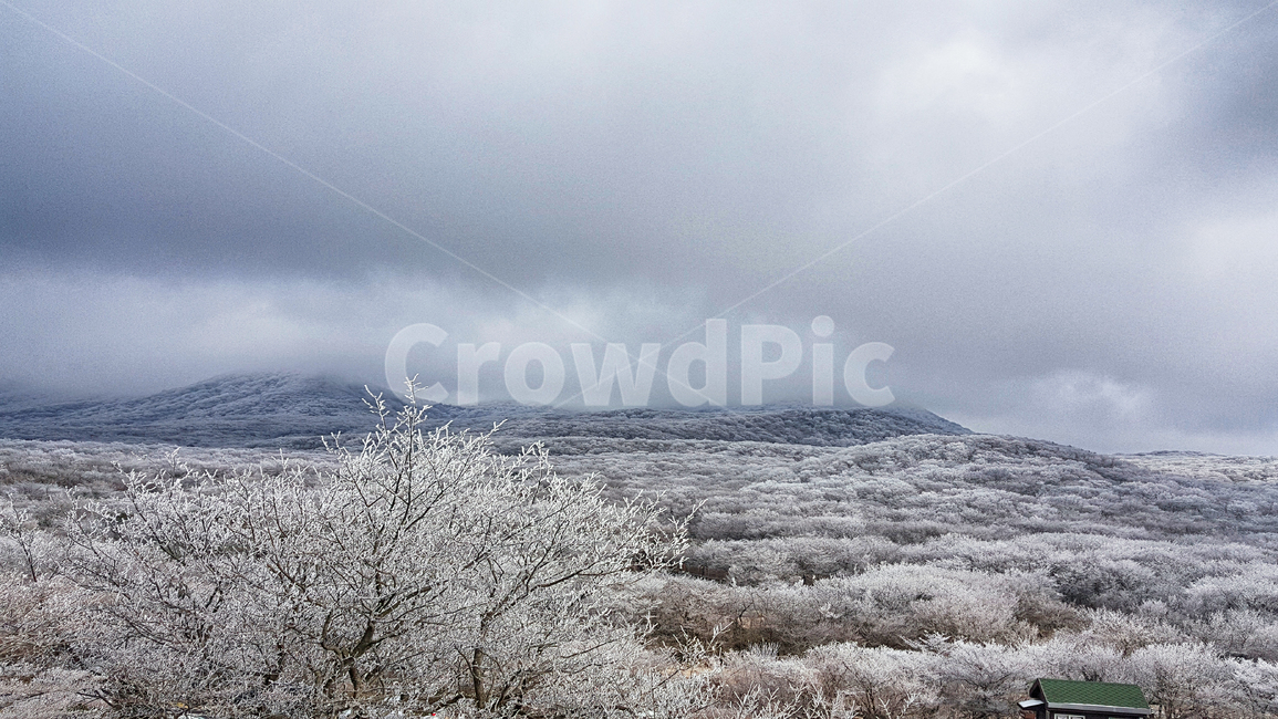 제주도,한라산,1100고지,한라산1100고지,설경,눈꽃,겨울,자연,옥외,눈,nature,outdoors,snow,풍경,겨울풍경,겨울,계절,winter,season,자연,풍경,nature,landscape