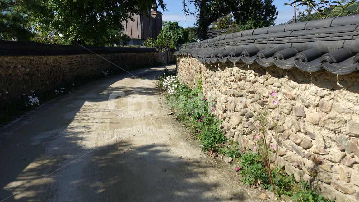 가을,삼지내마을,돌담,wall,골목,기와