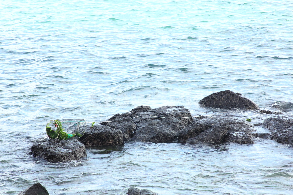 제주도,풍경,바다,제주,자연,jeju,sea,korea,ocean,통발