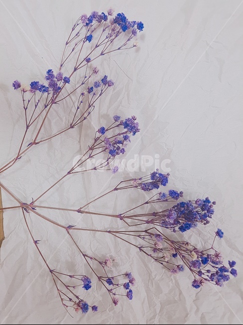 꽃,풀,조화,꽃다발,flower,bundle