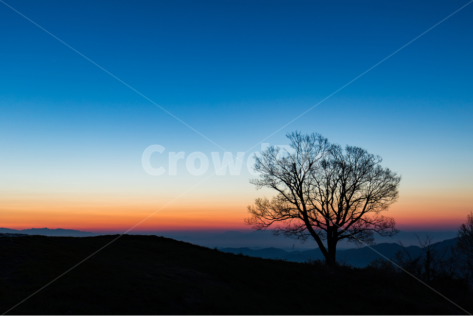 일출,여명,합천,대암산,산,풍경,나무,한그루,왕따나무,tree,dawn,새벽,dusk,sunrise,nature,아침,실루엣,하늘,풍경배경,배경,일출배경,자연,풍경,nature,landscape