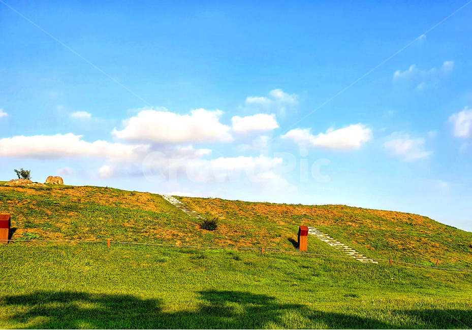 field,들,grassland,목초지,outdoors,옥외,nature,자연