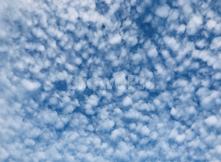 nature,자연,outdoors,옥외,sky,하늘,azuresky,푸른하늘,지진운,감성