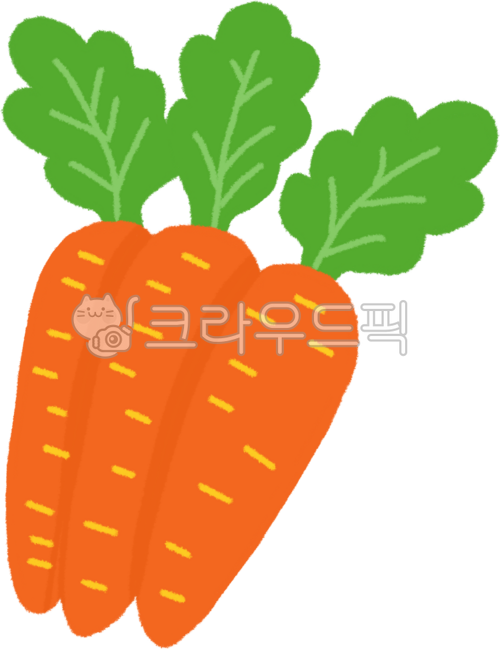 Cute carrots,carrots,carrot hand drawing,carrot illustration,carrot drawing,carrot vegetables,carrot dishes,carrot images,carrot vegetables,earth carrots,carrot illustrations,carrot ingredients,food carrots,root vegetable carrots,vegetables,