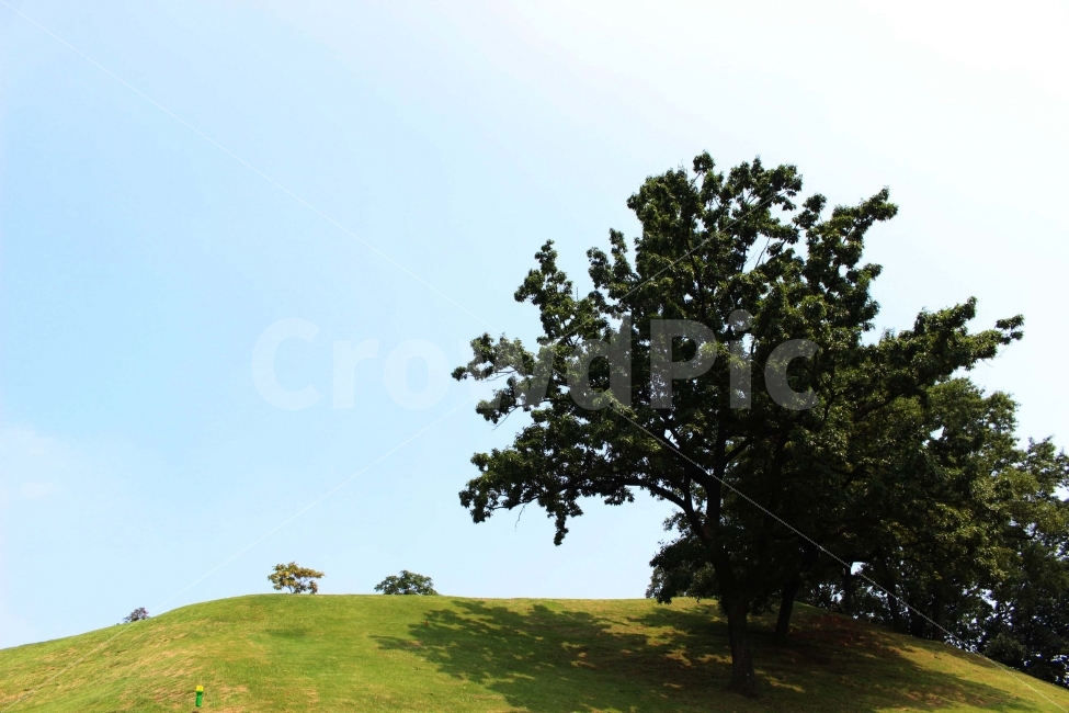 하늘,나무,식물,자연,야외,공원,정원,풍경,자연,풍경,nature,landscape,tree,plant,outdoors,옥외,grassland,목초지,field,들