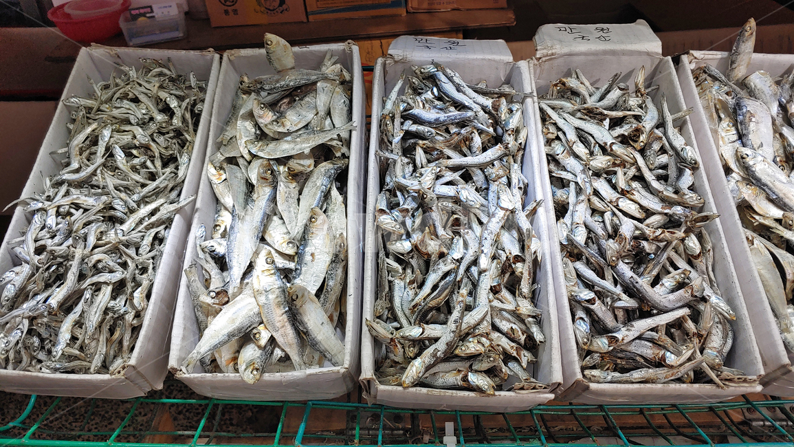멸치,수산물,건어물,국거리,다시용,국물용,해물,바다고기,바다물고기,어린고기,술안주,간식,먹거리,음식,푸드,seafood,food,반건조,수산시장,어시장,해산물,조림용,볶음용,식자재,식재료,어류,국내산,토종,국산,fish,stockfish,driedfish,반찬거리,배경,바탕,백그라운드,동물,마른멸치,물고기,해양생물,작은물고기,음식,식재료,요리,food,cook,meal,dishes,food reserves