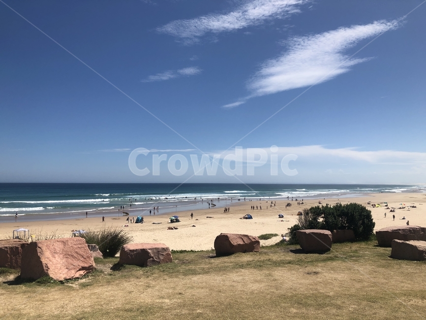 시드니,호주,오스트레일리아,포트스테판,자연,자연,풍경,nature,landscape,해변,바다,beach,sea,outdoors,옥외,ocean,대양,water,물,shoreline,해안선,바닷가,coast,연안