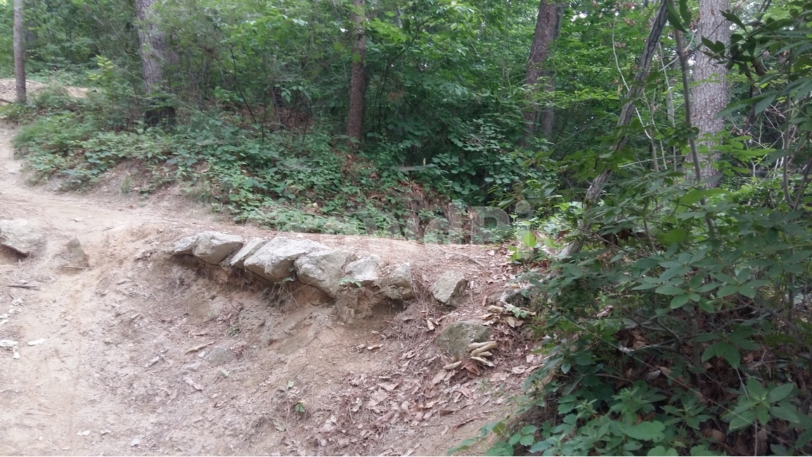 향적산,등산,숲,나무,산책,자연,풍경,nature,landscape