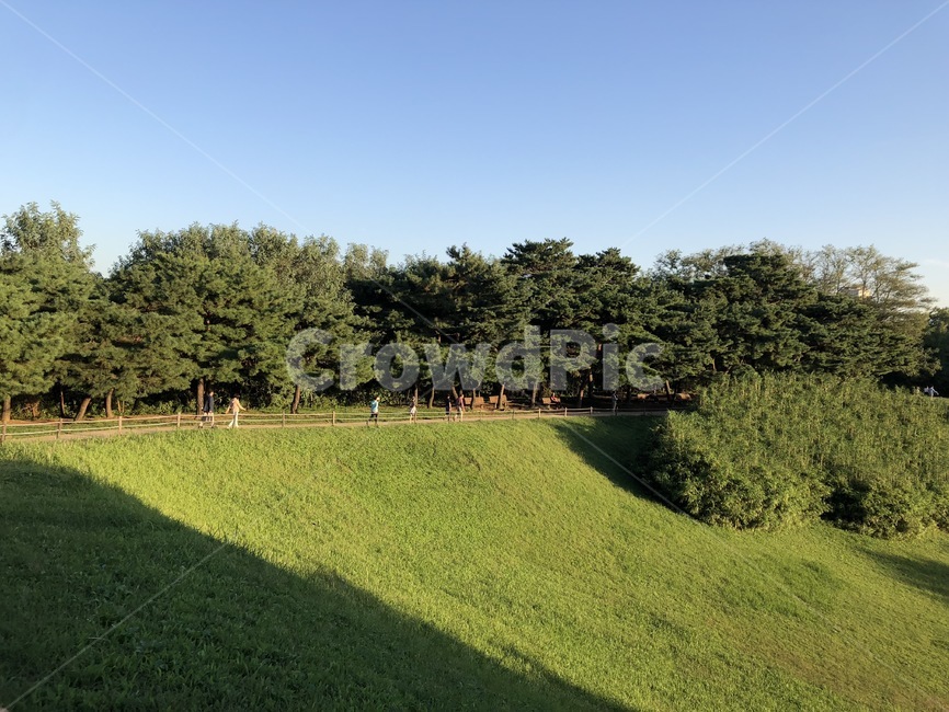 올림픽공원,올림픽,공원,가을,하늘,sky,park,나무,tree,blue,green,자연,풍경,nature,landscape,grass,잔디,plant,식물,field,들,grassland,목초지,outdoors,옥외