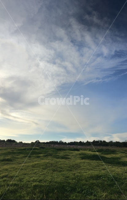 자연,목초지,들,nature,field,grassland,자연,풍경,nature,landscape