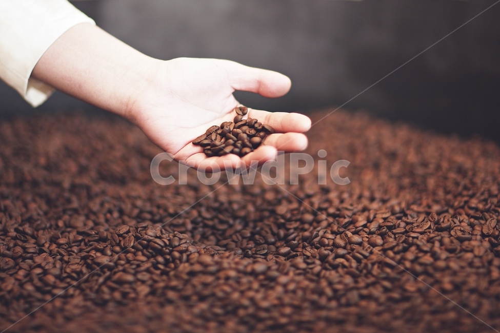coffeebean,coffee,color,감성사진,정물사진,사람,인물,인간,human,person,신체일부,몸,body,커피,카페,coffee,cafe,감성,sensible,feeling