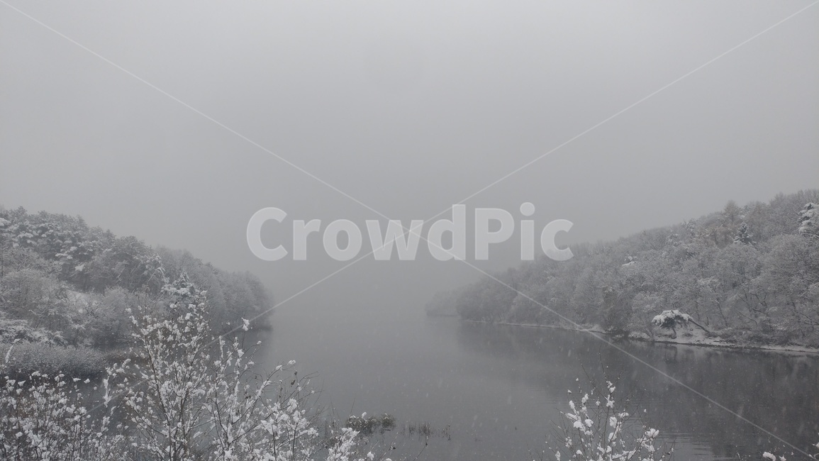겨울,눈,눈보라,나무,호수,눈꽃,안개,nature,자연,weather,날씨,outdoors,옥외,겨울,계절,winter,season,자연,풍경,nature,landscape