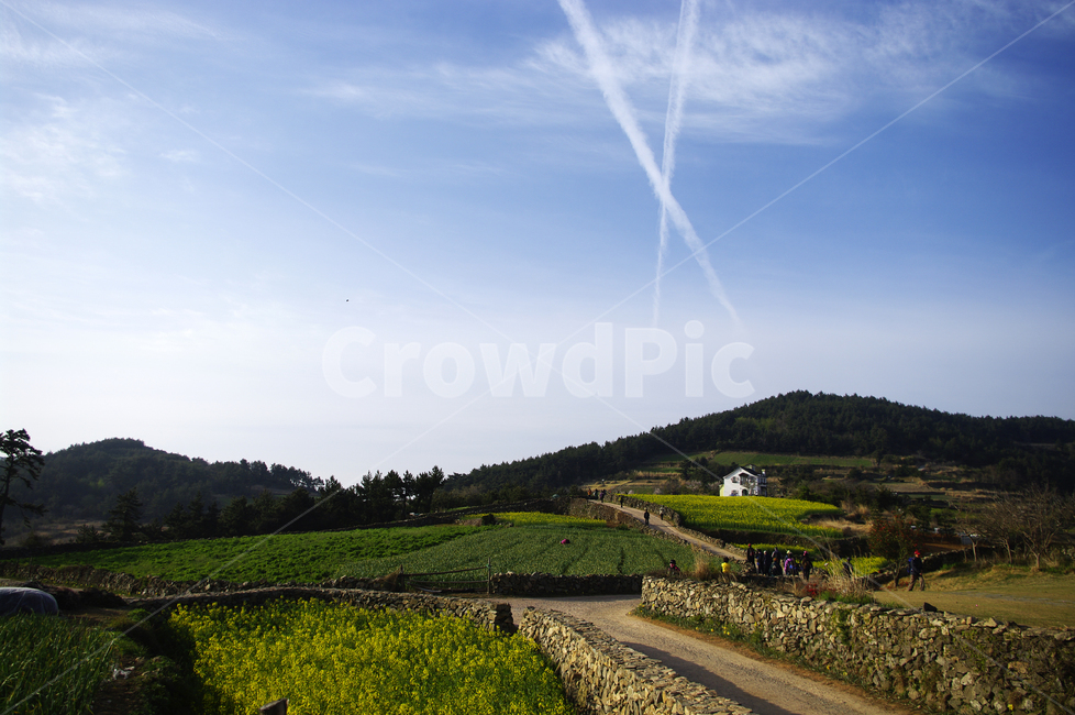 계절,봄,spring,하늘,구름,풍경,산,밭,시골,청산도,자연,풍경,nature,landscape,한국자연풍경,한국자연경관,korea nature landscape,outdoors,옥외,person,사람,human,인간,field,들