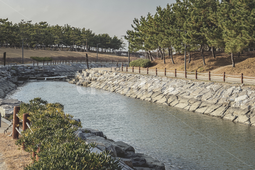 부산,다대포,공원,풍경,자연,나무,산책,산책로,휴식,busan,park,nature,view,landscape,wood,tree,walk,rest,beautiful,자연,풍경,nature,landscape,water,물,outdoors,옥외