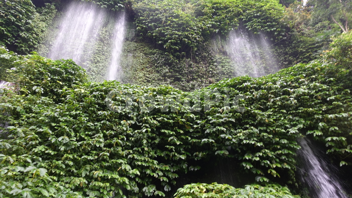 폭포,fall,물,water,nature,자연,green,grass,forest,초록
