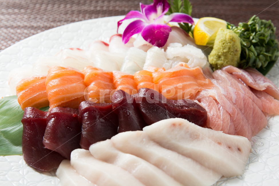 음식,요리,일식,사시미,회,점성어,연어,점성어회,점성어회,연어회,연어회,음식,식재료,요리,food,cook,meal,dishes,food reserves,일식,일본음식,일본요리,Japanese food,Japanese dishes,Japanese meal,Japanese cook