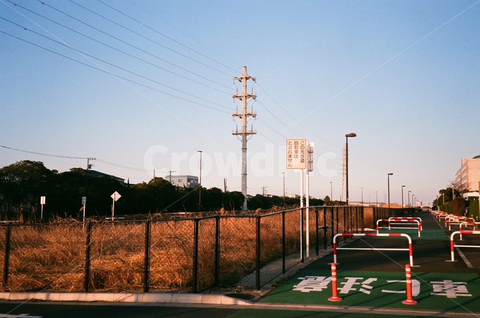 도로,표지판,갈대,길거리,전봇대,자연,풍경,nature,landscape,해외,외국,세계,foreign,oversea,world,감성,sensible,feeling