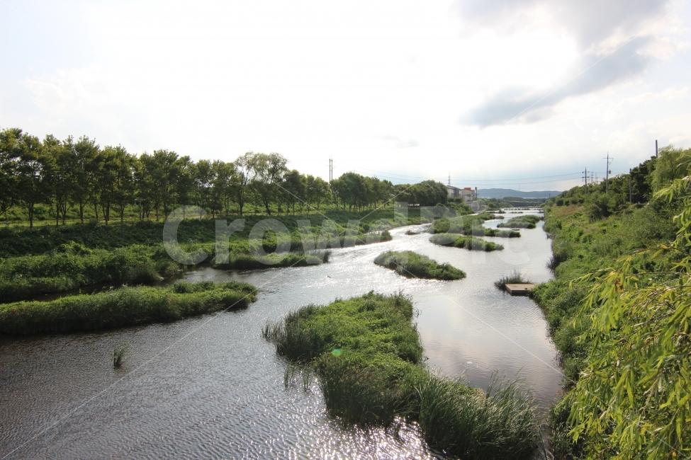 자연,풍경,하천,반짝반짝,맑음,자연,풍경,nature,landscape,여름,계절,summer,season,water,물,ditch,도랑,outdoors,옥외,land,땅