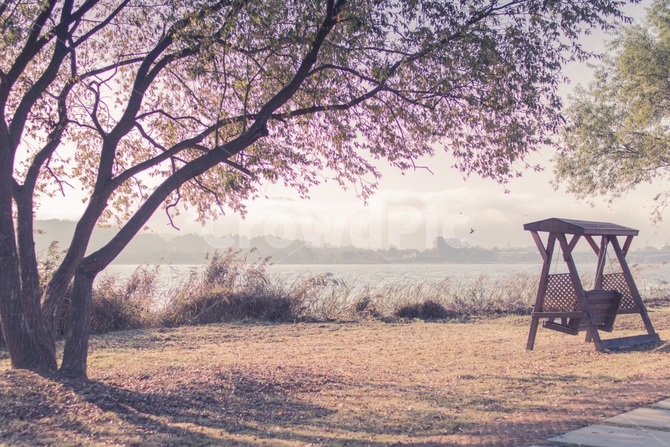 강가,휴식,의자,나무,자연,자연,풍경,nature,landscape,식물,plants,나무,trees,wood,감성,sensible,feeling,휴식,힐링,rest,relaxation,healing,plant