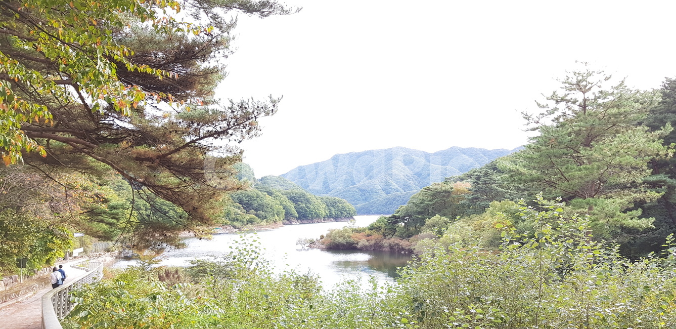 산,강,강물,호숫가,산속풍경,숲속