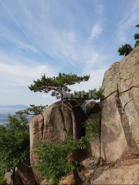 용봉산,산,풍경,바위,구름,나무,자연,풍경,nature,landscape,한국자연풍경,한국자연경관,korea nature landscape,outdoors,옥외,building,건물,bunker,벙커