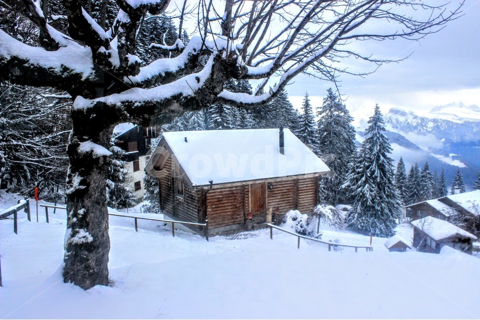 유럽,스위스,겨울,눈,집,겨울,계절,winter,season,시골,마을,풍경,landscape,country,rural,town,건축물,건물외관,exterior,building,structure,architecture,construction