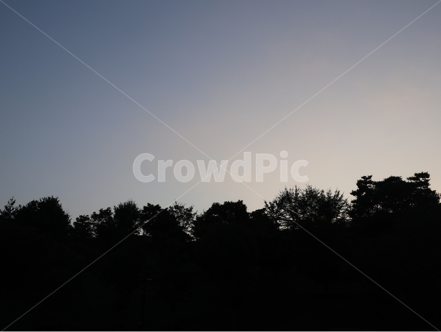 silhouette,실루엣,역광,하늘,나무,그림자,자연,옥외,outdoors,nature