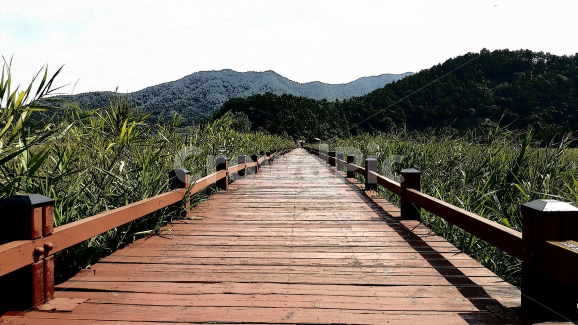 길,쓸쓸,도로,여름,인생길,자연,풍경,nature,landscape,bridge,다리,building,건물,boardwalk,산책로