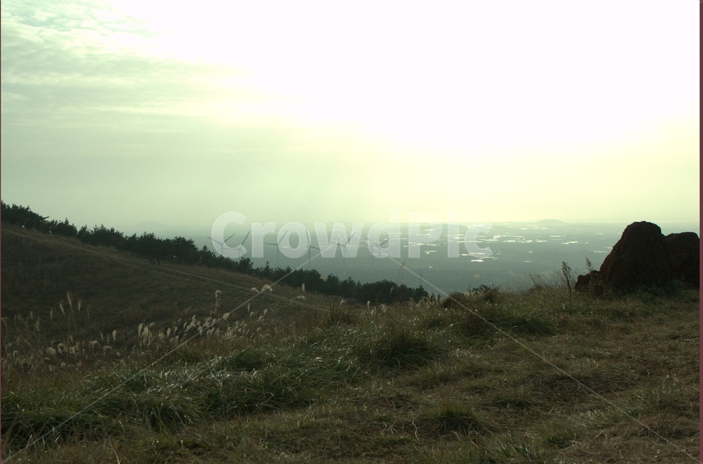 nature,자연,제주도,오름,landscape