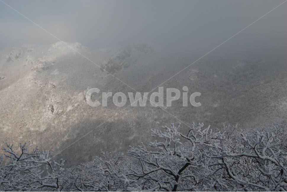 겨울,산,눈,공원,탐방로,겨울,계절,winter,season,자연,풍경,nature,landscape,한국자연풍경,한국자연경관,korea nature landscape,outdoors,옥외