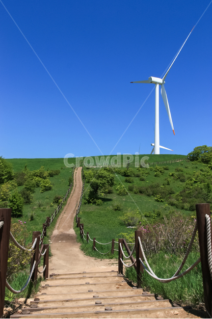 경로,길,초원,풍차,삼양목장,바람개비,파란하늘,맑은날,관광,풀밭,풍력,기계,모터,전기,기시거리,바람,풍경,구조물,대체에너지,산업,industry,industrial,에너지산업,energy industry