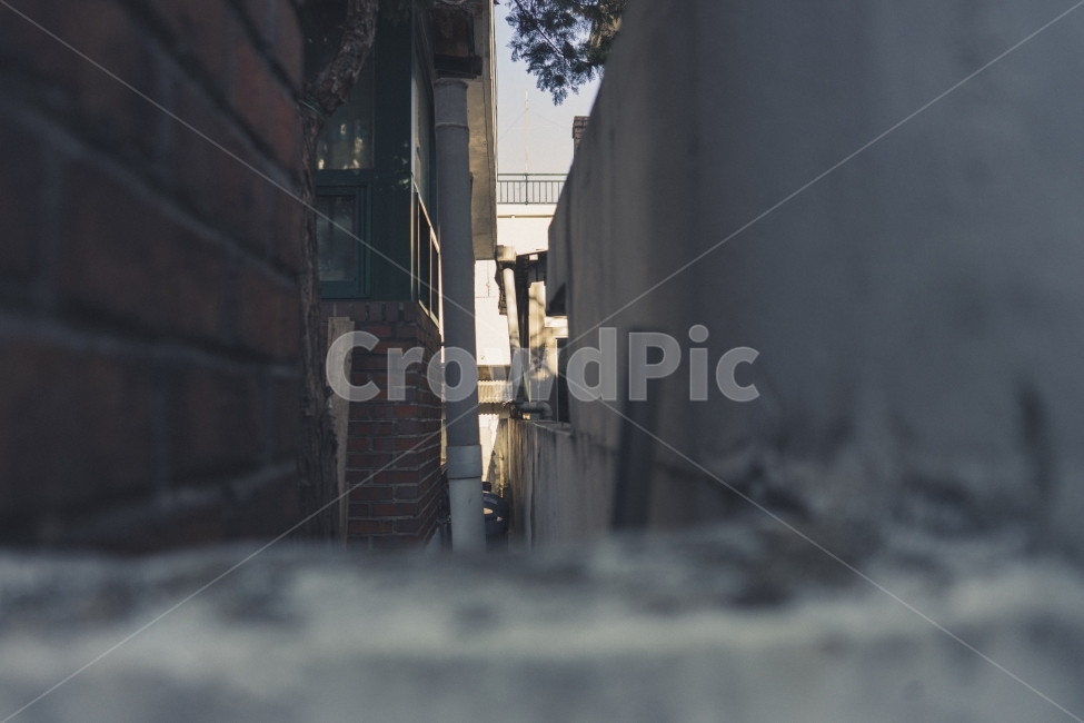 감성사진,길,담장,골목,골목길,집,마당,주택,도시,풍경,city,landscape,한국도시풍경,한국도시경관,korea cityscape,골목길,alley,감성,sensible,feeling,building,건물,시티,street,거리,road,도로,town,urban,어반