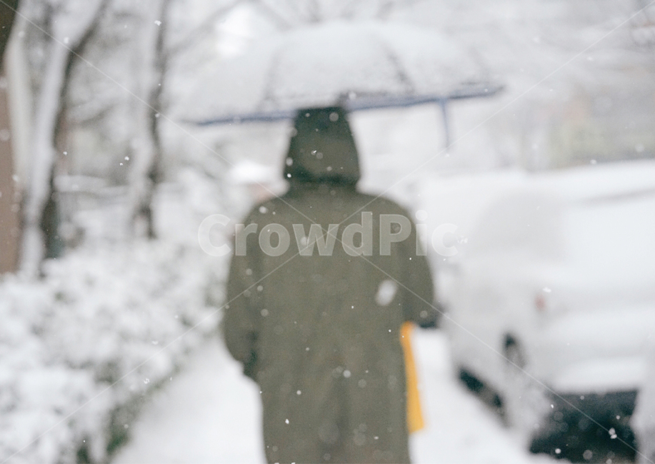 눈,첫눈,겨울,우산,뒷모습,겨울,계절,winter,season,사람,인물,인간,human,person,남성,남자,man,male