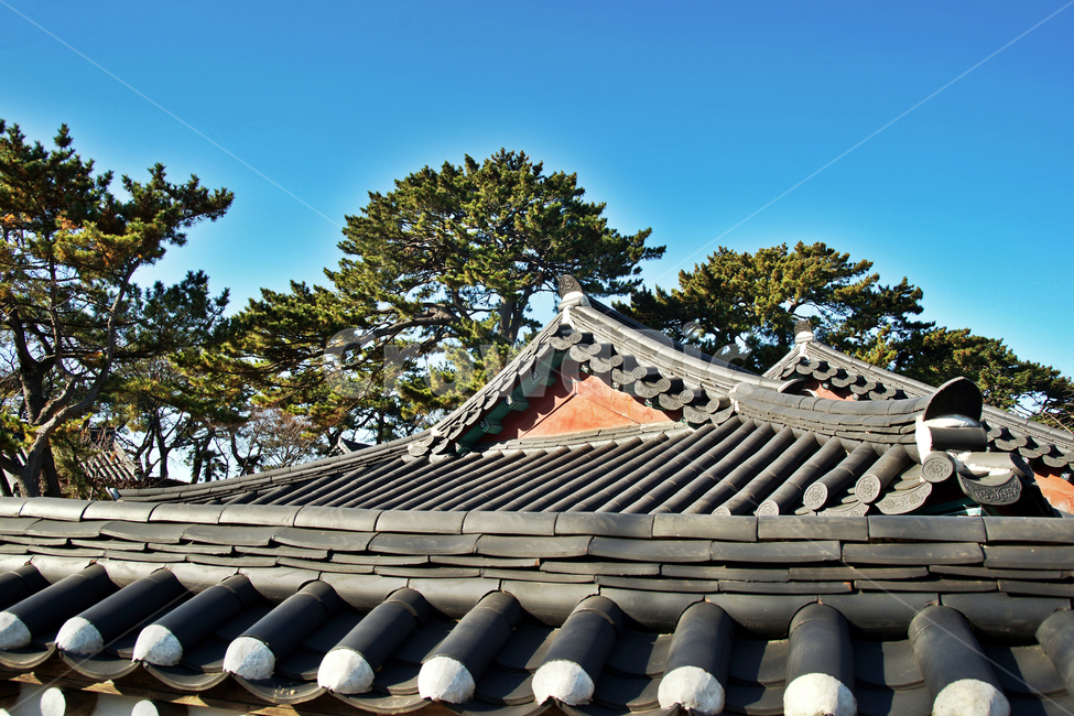 제주향교,향교,제주도,용담동,1827년,현유위패봉안,석전,공자제사,처마,기와,한국전통,한국문화,korean traditional,korean culture