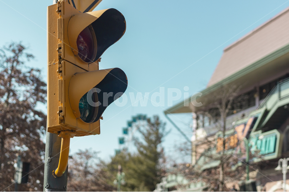 light,빛,trafficlight,신호등,노랑색