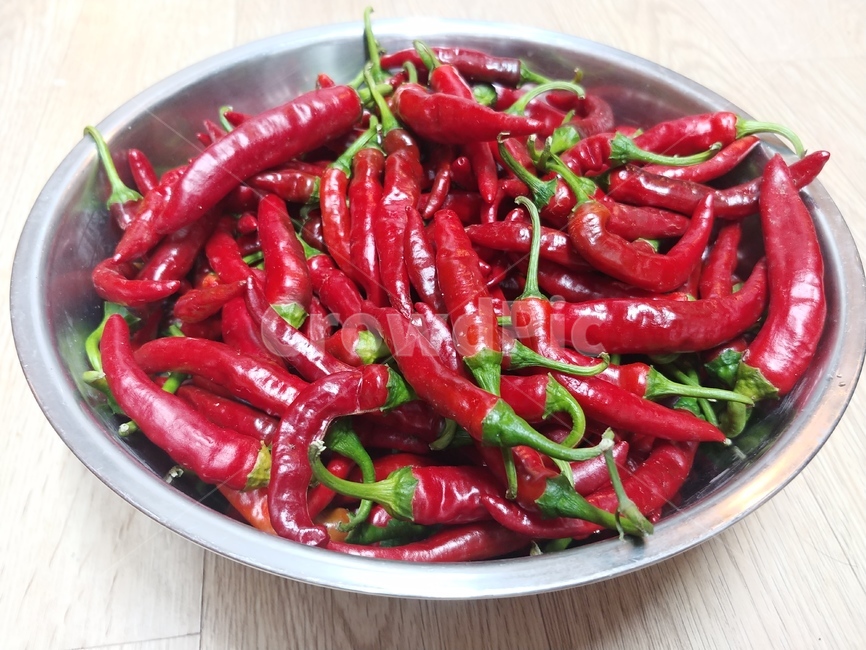 고추,맵다,red,빨강,한국음식,식재료,요리,food,hot,고추장,한국,색깔,색상,색채,색감