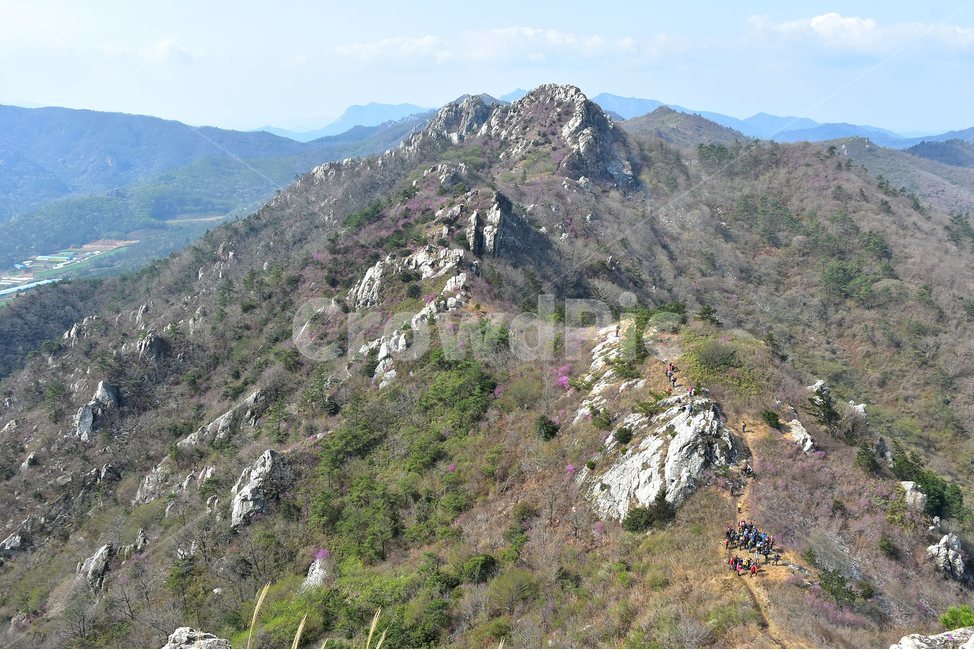 주작산,덕룡산,종주,진달래,풍경,기암,바위,비경,봄풍경,진달래꽃,강진,명산,산행,등산,마운틴,힐링,mountain,landscape,자연,natural,자연,풍경,nature,landscape,한국자연풍경,한국자연경관,korea nature landscape,slope,경사,outdoors,옥외,산,mountain range,산맥