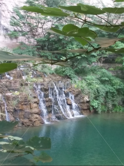 폭포,숲,나무,물,바위,자연,풍경,nature,landscape,water,river,강,outdoors,옥외,vegetation,초목,plant,식물