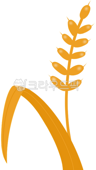 벼,벼png,벼그림,벼일러스트,곡식,수확,가을,이삭,벼이삭,쌀,벼아이콘,가을그림