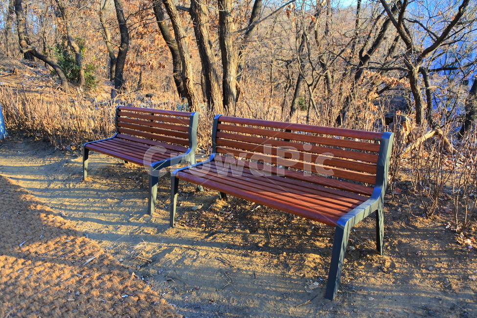 벤치,공원벤치,parkbench,bench,산책,자연,nature,자연,풍경,nature,landscape,park bench,공원 벤치