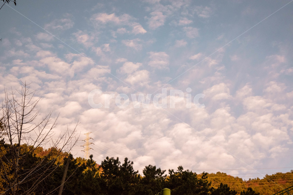 가을,하늘,해질녘,풍경,자연,나무,구름,감성,가을,계절,fall,autumn,season,자연,풍경,nature,landscape,outdoors,옥외,weather,날씨