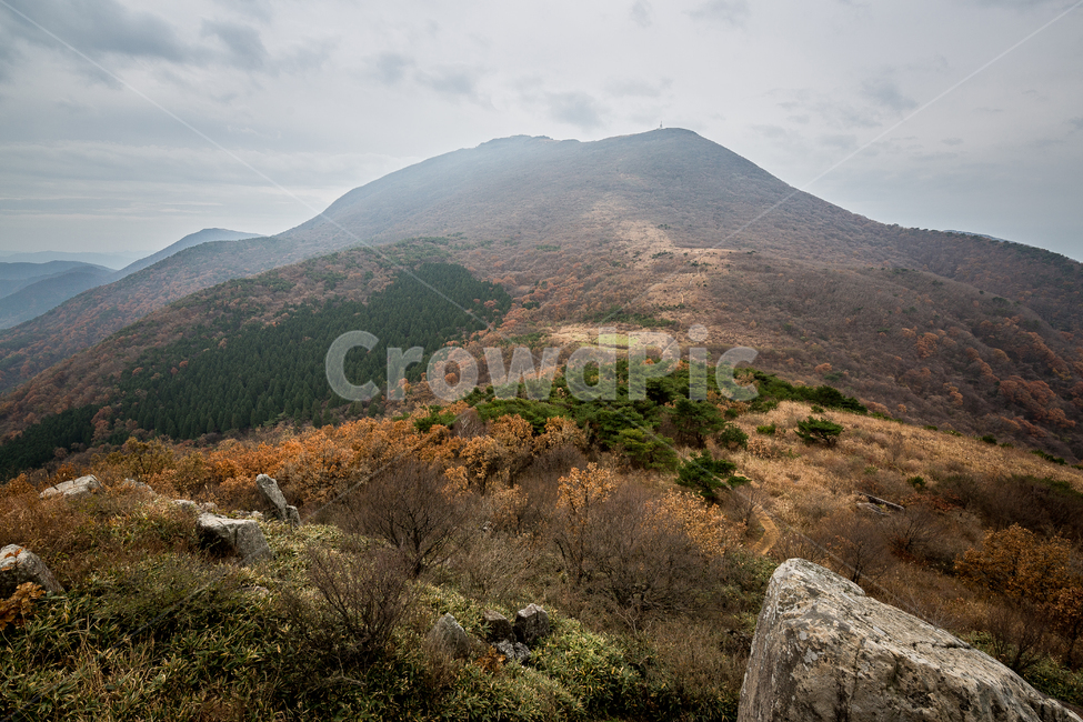 무등산,나무,숲,산길,산,억세,가을,계절,fall,autumn,season,자연,풍경,nature,landscape,한국자연풍경,한국자연경관,korea nature landscape,outdoors,옥외,hill,언덕