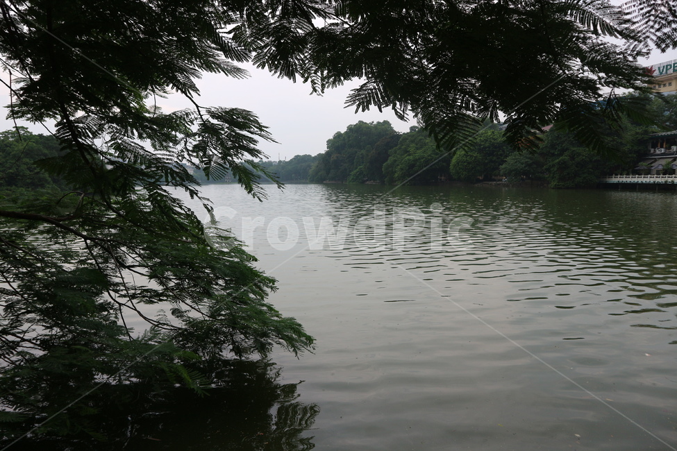 water,물,outdoors,옥외,nature,자연,강